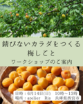 ＜開催案内＞錆びないカラダをつくる梅しごとワークショップ