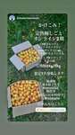 完売しました→かけこみ！完熟梅しごと☆オンライン2期募集中