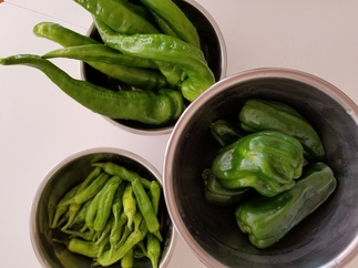 ピーマンは中華風がオススメ！